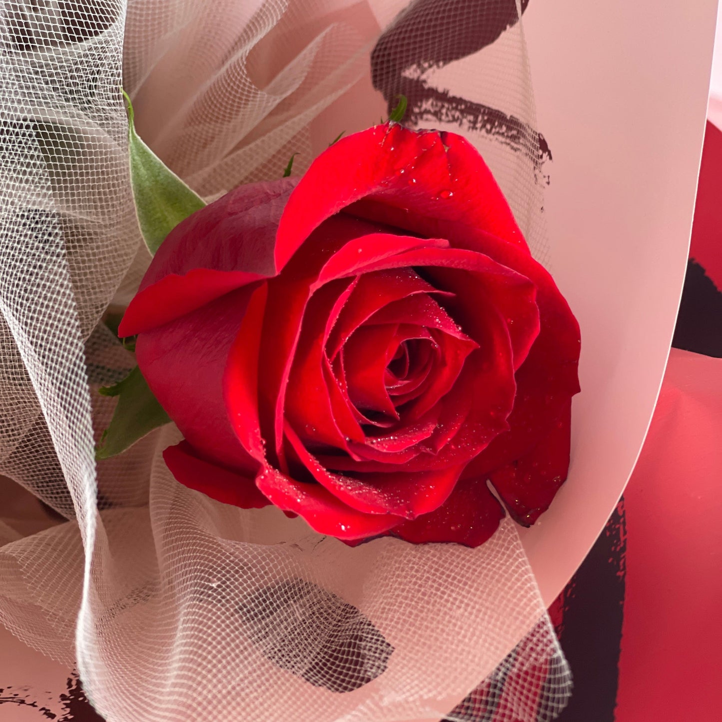 Classic single red rose - perfect for Valentine's Day or Anniversaries