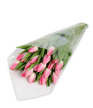 pink tulips
