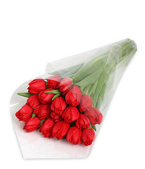 red tulips